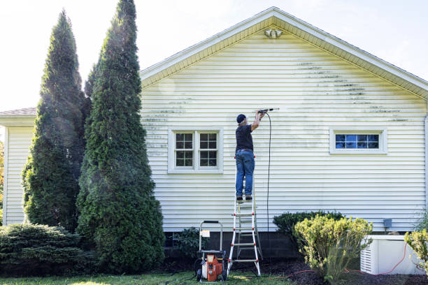 Best Driveway Pressure Washing  in Amherst, WI